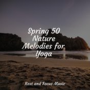 Spring 50 Nature Melodies for Yoga