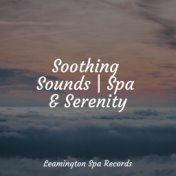 Soothing Sounds | Spa & Serenity