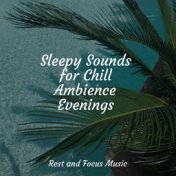 Sleepy Sounds for Chill Ambience Evenings