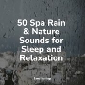 50 Spa Rain & Nature Sounds for Sleep and Relaxation