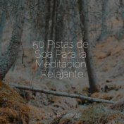 50 Pistas de Spa Para la Meditación Relajante