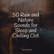 50 Rain and Nature Sounds for Sleep and Chilling Out
