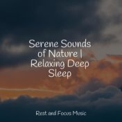 Serene Sounds of Nature | Relaxing Deep Sleep