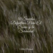 50 Sonidos Definitivos Para El Sueño y la Serenidad