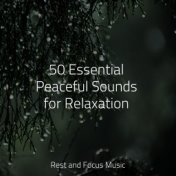 50 Essential Peaceful Sounds for Relaxation