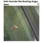 Rain Sounds Like Buzzing Angry Bees