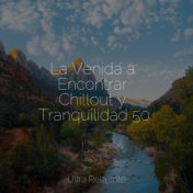 La Venida a Encontrar Chillout y Tranquilidad 50