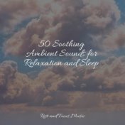 50 Soothing Ambient Sounds for Relaxation and Sleep