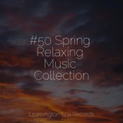 #50 Spring Relaxing Music Collection