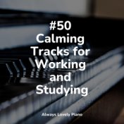 #50 Calming Tracks for Working and Studying