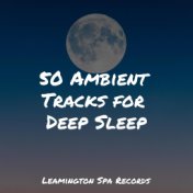50 Ambient Tracks for Deep Sleep