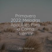 Primavera 2022: Melodías Apacibles Para la Calma Interior