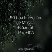 50 Una Colección de Música Binaural PacíFICA