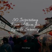 50 Inspiriting Rain Album for Spa & Serenity