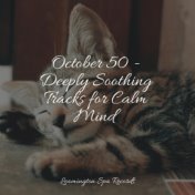 October 50 - Deeply Soothing Tracks for Calm Mind