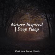 Nature Inspired | Deep Sleep