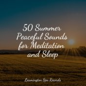 50 Summer Peaceful Sounds for Meditation and Sleep