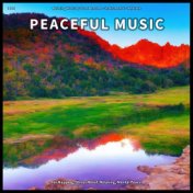 ! ! ! ! Peaceful Music for Napping, Stress Relief, Relaxing, Mental Peace