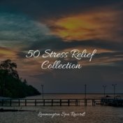 50 Stress Relief Collection