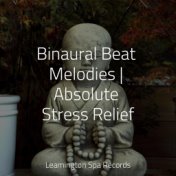 Binaural Beat Melodies | Absolute Stress Relief