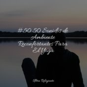 #50 50 Sonidos de Ambiente Reconfortantes Para El Yoga