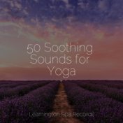 50 Soothing Sounds for Yoga