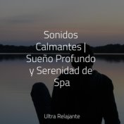 Sonidos Calmantes | Sueño Profundo y Serenidad de Spa