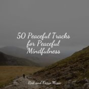 50 Peaceful Tracks for Peaceful Mindfulness