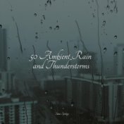 50 Ambient Rain and Thunderstorms