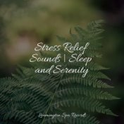 Stress Relief Sounds | Sleep and Serenity