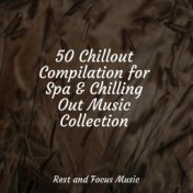 50 Chillout Compilation for Spa & Chilling Out Music Collection