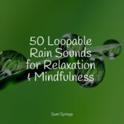 50 Loopable Rain Sounds for Relaxation & Mindfulness
