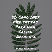 50 Canciones Meditativas Para Una Calma Absoluta