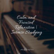 Calm and Focused Relaxation | Intense Studying