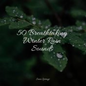 50 Breathtaking Winter Rain Sounds