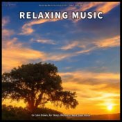 ! ! ! ! Relaxing Music to Calm Down, for Sleep, Wellness, Next-Door Noise