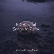 50 Blissful Songs to Relax