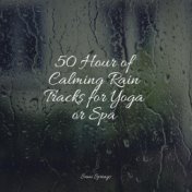 50 Hour of Calming Rain Tracks for Yoga or Spa