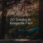 50 Sonidos de Relajación Fácil