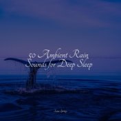 50 Sleep Rain Sounds