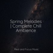 Spring Melodies | Complete Chill Ambience