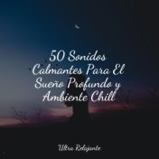 50 Sonidos Calmantes Para El Sueño Profundo y Ambiente Chill