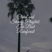 Cloud and Steady Playlist: The Best Rainforest
