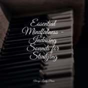 Essential Mindfulness - Inducing Sounds for Studying