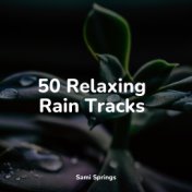 50 Gentle Rain Sounds for Total Relaxation