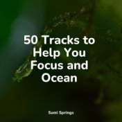 50 Tracks to Help You Focus and Ocean