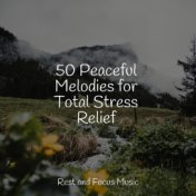 50 Peaceful Melodies for Total Stress Relief
