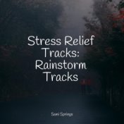 Stress Relief Tracks: Rainstorm Tracks