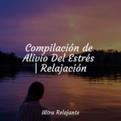 Compilación de Alivio Del Estrés | Relajación