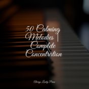 50 Calming Melodies | Complete Concentration